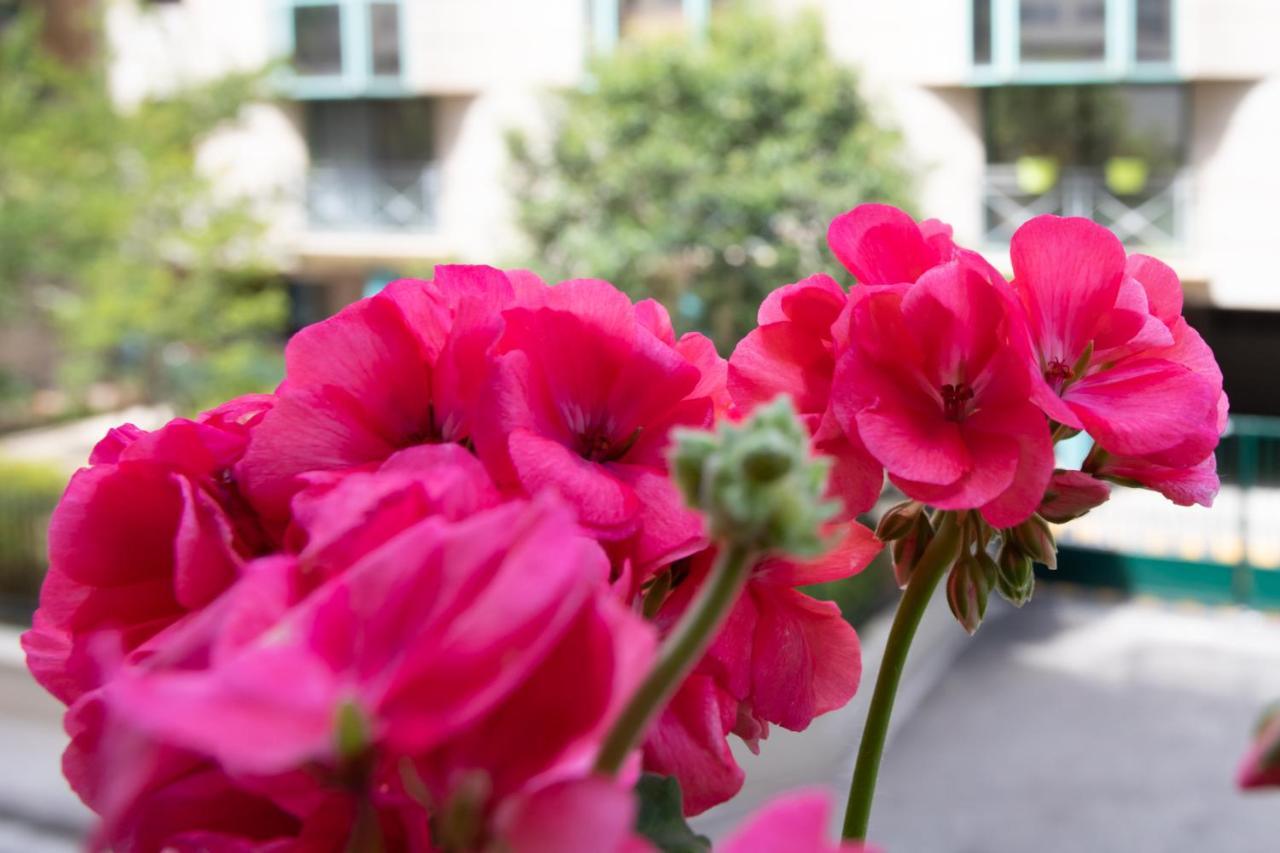 Boutique Apartment La Lavande Free Parking 10 Min Walk Nice Exterior foto